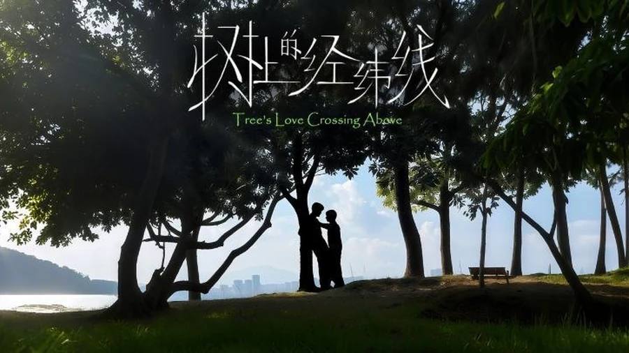 树上的经纬线游戏画面
